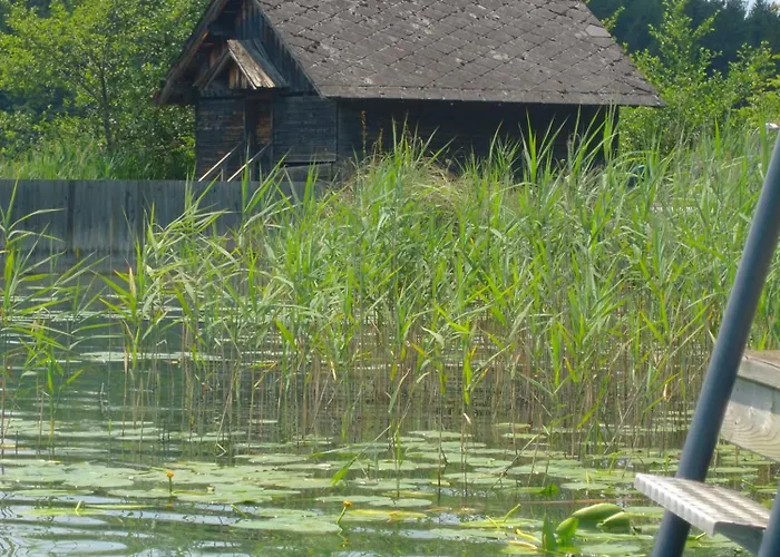 Seehotel Ressmann ドロボラッハ・アム・ファーカーゼー